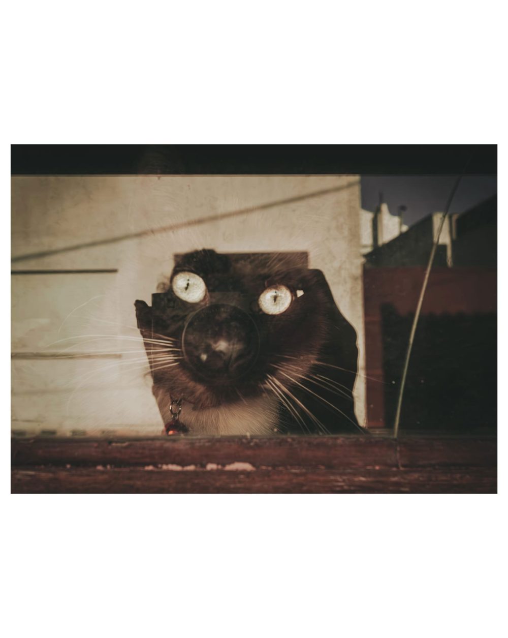6_REDES_ML000